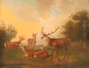 Hirsch Und Rehe by Johann Frankenberger