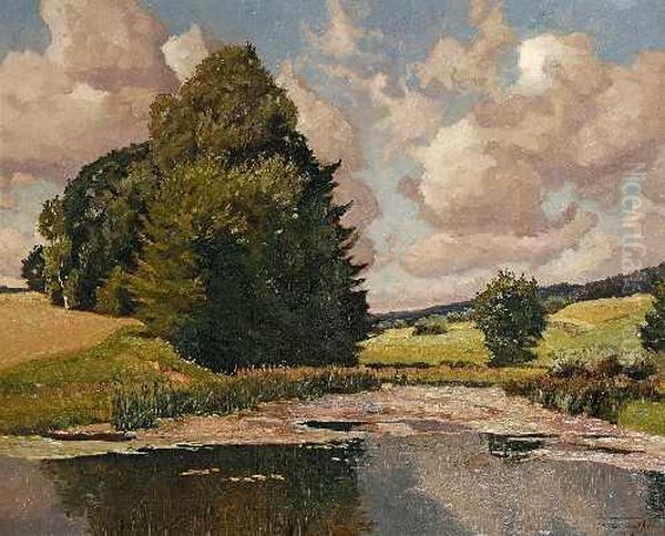 Landschaft Mitweiher - view 1