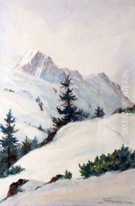 Winter Mountain Top