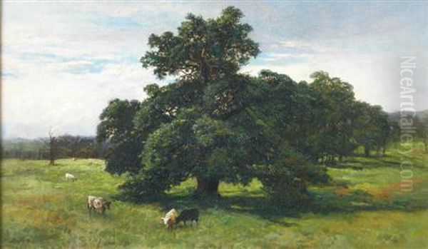 Cattle Grazing Under A Tree - view 1