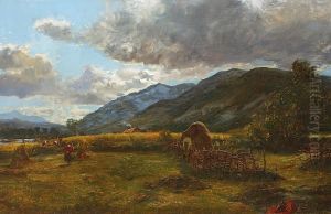 Haymaking