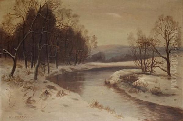 The Silent Snow - view 1
