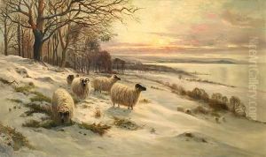 Sheep In The Snow At Sunset by Malcolm Fraser