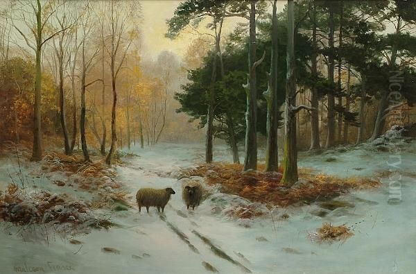 Sheep In A Winter Landscape - view 1