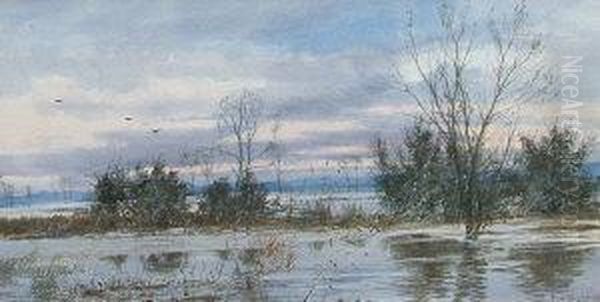 River Scene - view 1