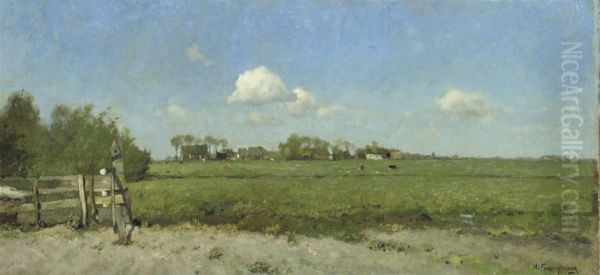 An Extensive Polder Landscape - view 1