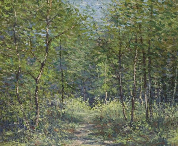 Sous-bois - view 1