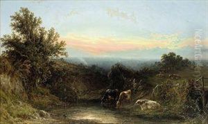 Cattle Watering By A Stream At Sunset by John F Tennant