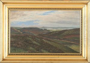 Lyngbakker Ved Jul So I Baggrunden Himmelbjerget by Laurits Frederiksen