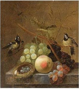 A Still Life Of Grapes, A Peach And A Dragonfly, Together With Blue Tits And A Bird's Nest, Arranged Upon A Marble Ledge