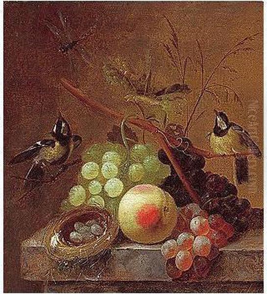 Still Life Of Grapes, A Peach And A Dragonfly, Together With Blue Tits And A Bird's Nest, Arranged Upon A Stone Ledge - view 1