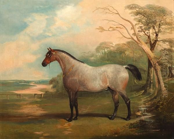 A Roan Stallion In A Park Landscape - view 1