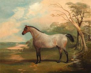 A Roan Stallion In A Park Landscape