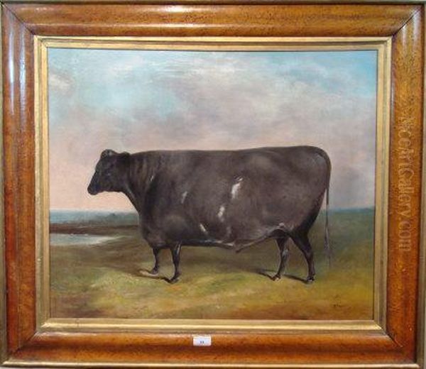 Naive Portrait Of A Fat Cow
A Black And White Shorthorn Stood Within Landscape - view 1