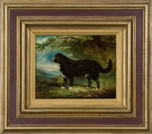 Portrait Of A Herding Dog