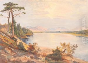 Serene Lake Landscape