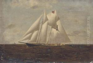 The Yacht Gracie