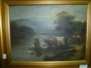 Cattle Drinking From A River