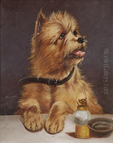 The Dogs Dinner - view 1
