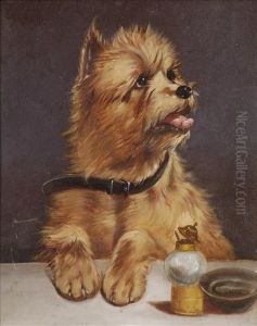 The Dogs Dinner