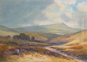 Landscape With Heather