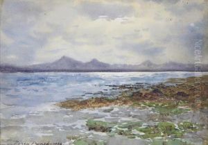 Strangford Lough; Morning At Hastings