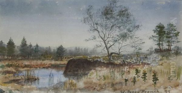 Morning Light Over The Rushes - view 1