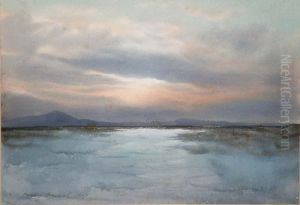 Evening Light Across The Bog by William Percy French