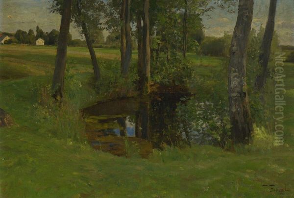 Teich In Baumlandschaft. - view 1