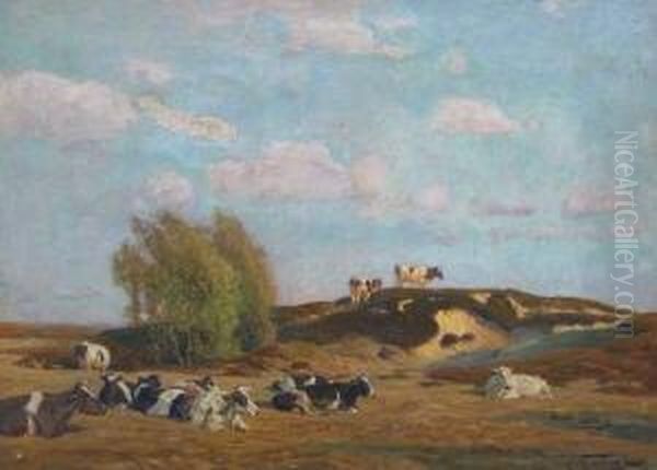 Ruhende Kuhe Auf Der Weide - view 1