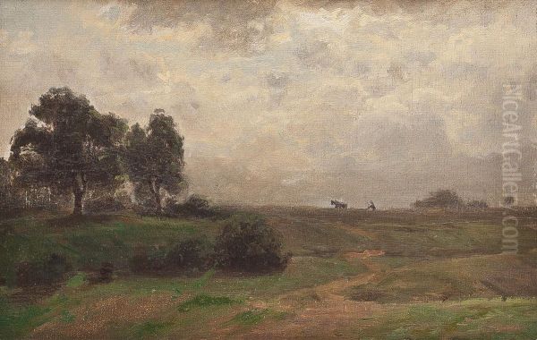 Sommerlandschaft - view 1