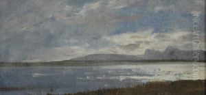 Norwegische Fjordlandschaft
