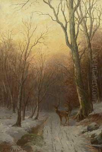 Abendstimmung Uber Winterlichem Waldweg Mit Rehwild - view 1