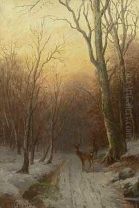 Abendstimmung Uber Winterlichem Waldweg Mit Rehwild by Richard Hermann Jul. Fresenius