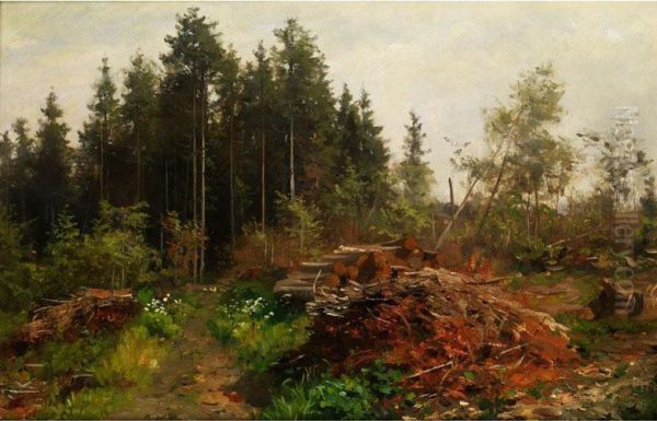 Waldlandschaft - view 1