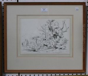 Villa Basignano, Barra