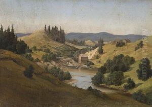 From Aanesruddalen,nannestad by Joachim Frich