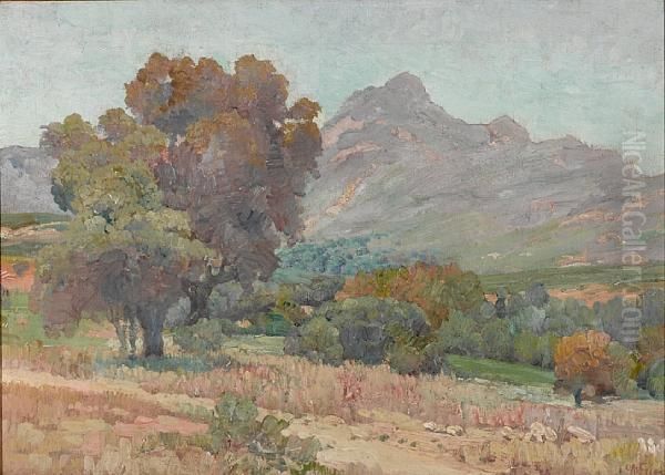 Lawson Valley - view 1