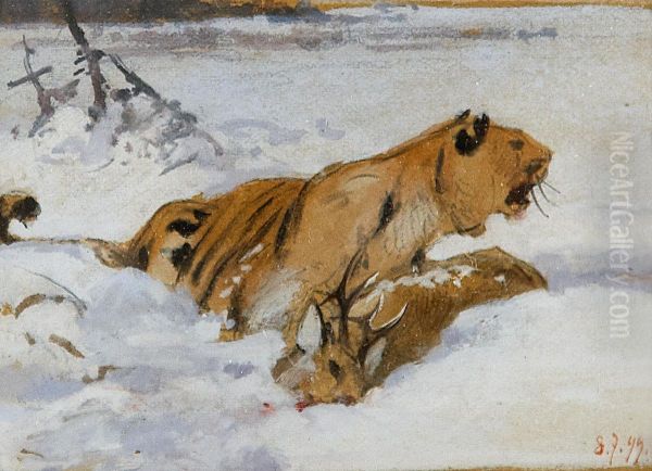 Sibirischer Tiger Mit Beute - view 1