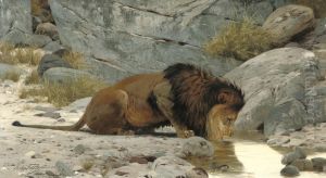 A Lion Drinking From A Watering Hole by Richard Bernhard L. Friese