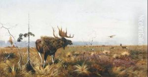 Moose And Deer Herd In An Extensive Landscape