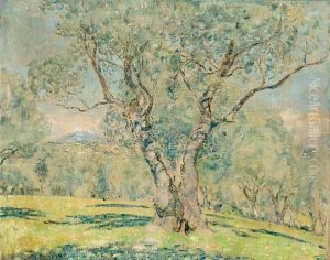 Olive Trees, View Of Cagnes