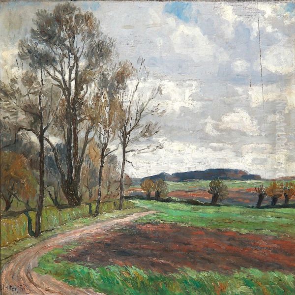 Danish Autumn Landscape - view 1