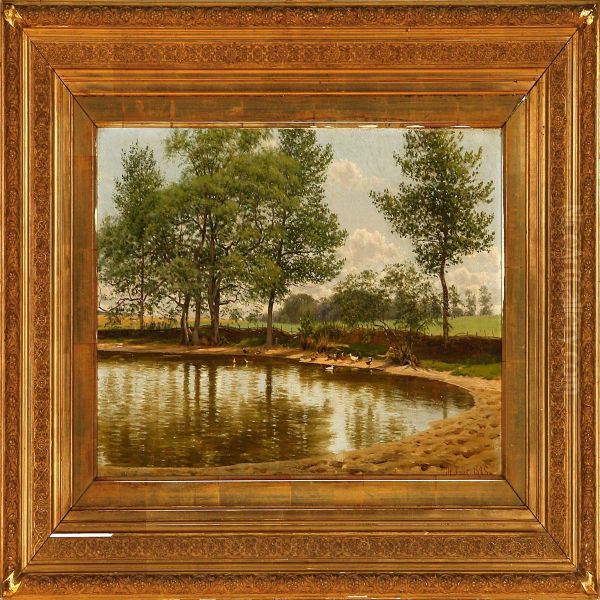 Ducks Around A Pond - view 1