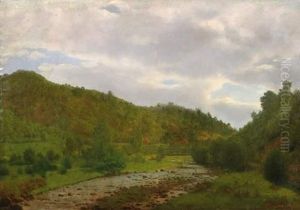 Pasture Valley In Harz
