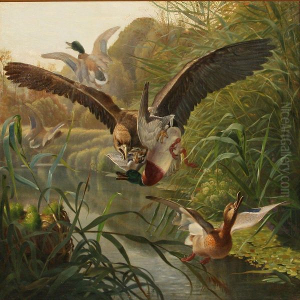 An Eagle Hunting Ducks - view 1