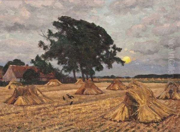 Harvested Wheat Field At Sunrise - view 1