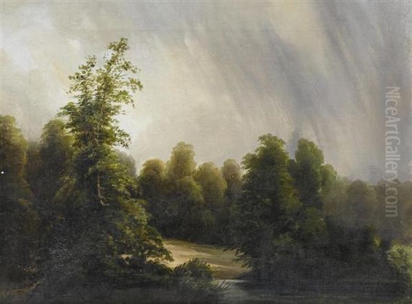 Forest Landscape Near A River. - view 1