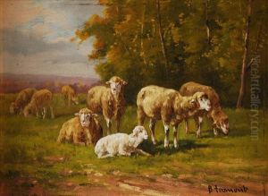 Sheep Grazingsheep Watering by B.F. Froment