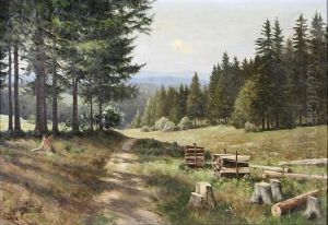Waldweg Am Holzschlag by Ernst Frommhold
